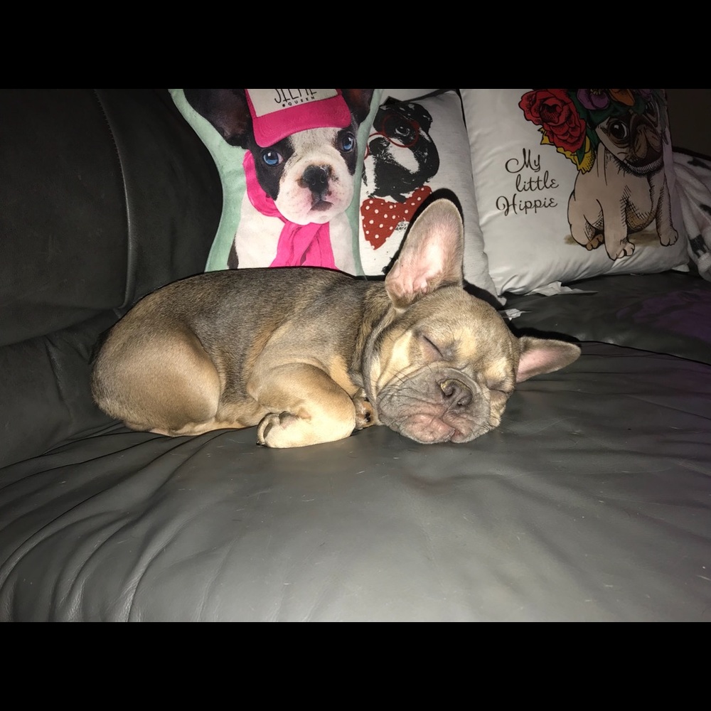 Meet your Posher, Maggie